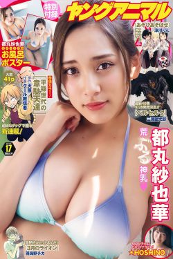 法国航空1满天星法版免费